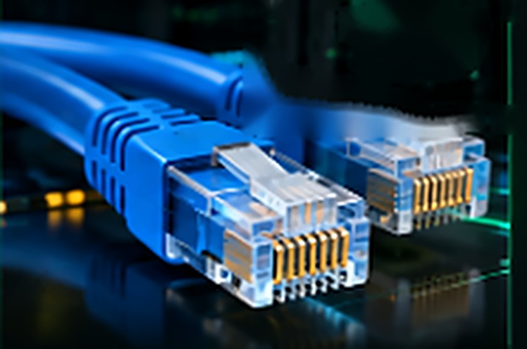 AXVAA Patch Cords